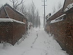 雪景
