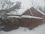 雪景