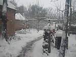 雪景