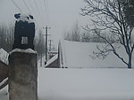 雪景