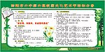 学校宣传版报