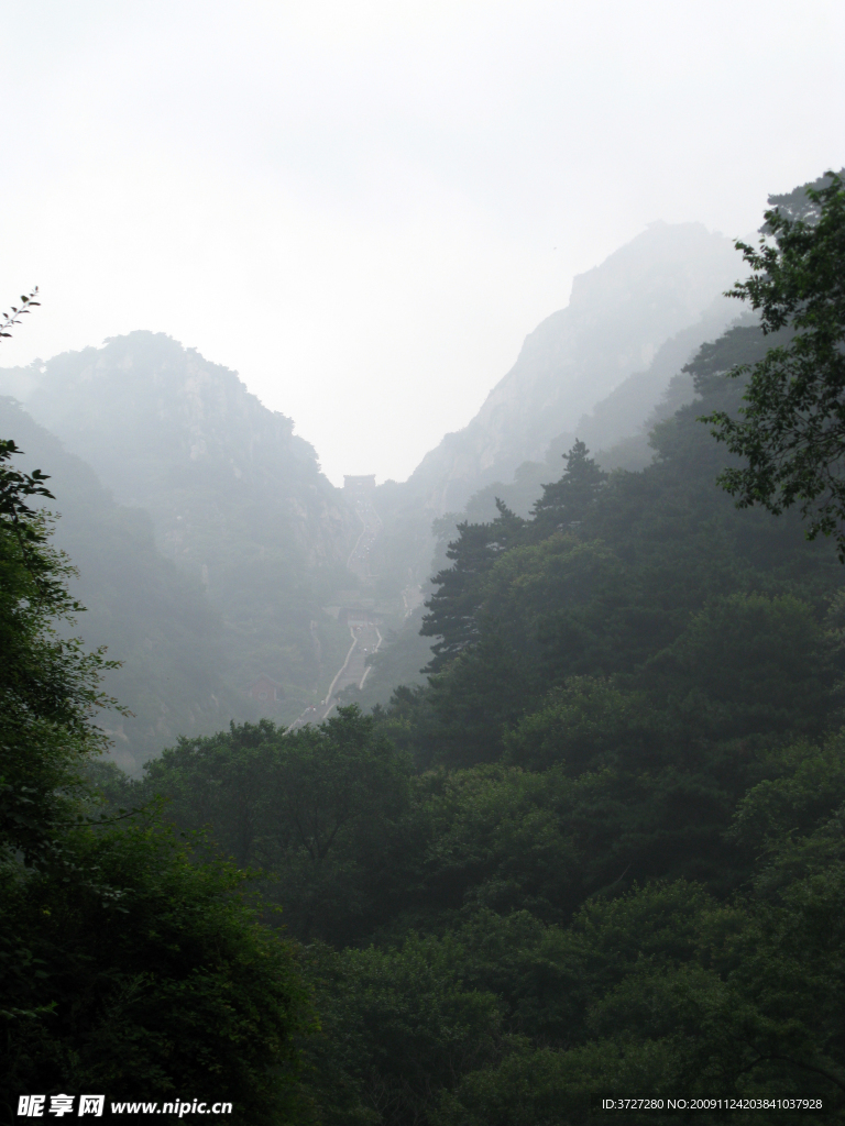 泰山自然风光云雾山林摄影