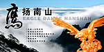 鹰扬南山