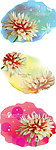 花纹