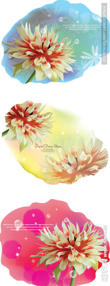 花纹