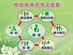 医院流程图