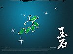 精美的玉石广告