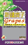 新疆提子