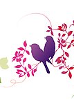 韩国花纹