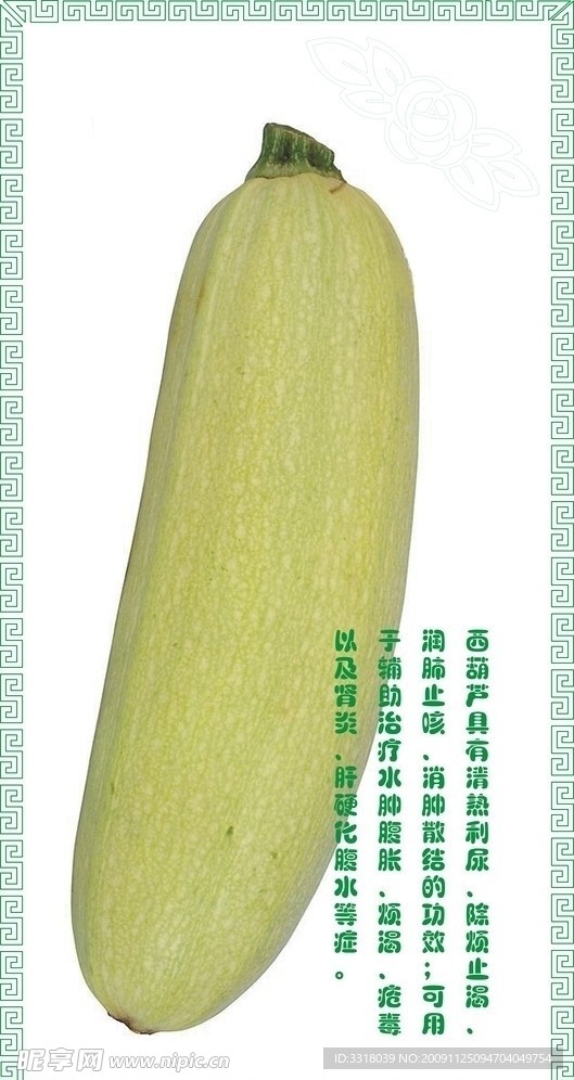 蔬菜 西葫芦