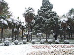 焦作市 人民公园 雪景