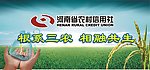 农信社