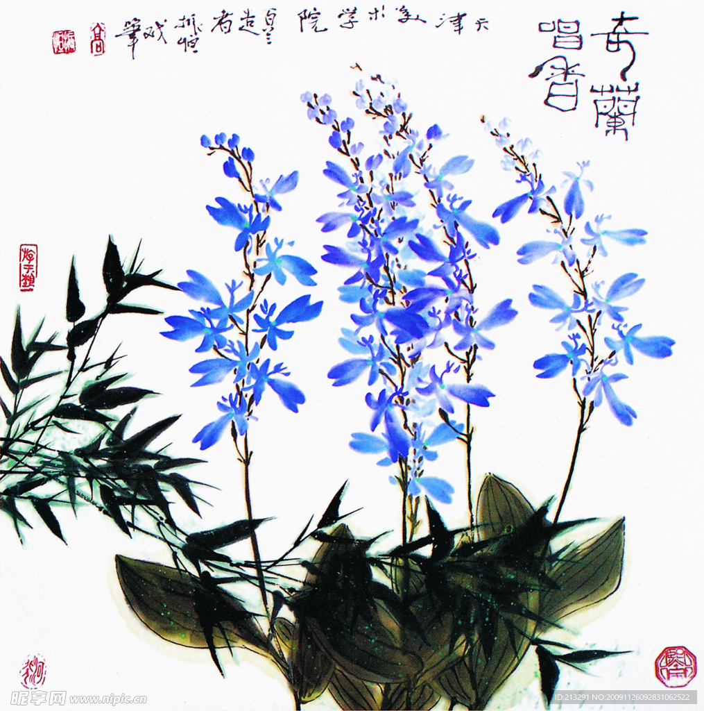 小兰花