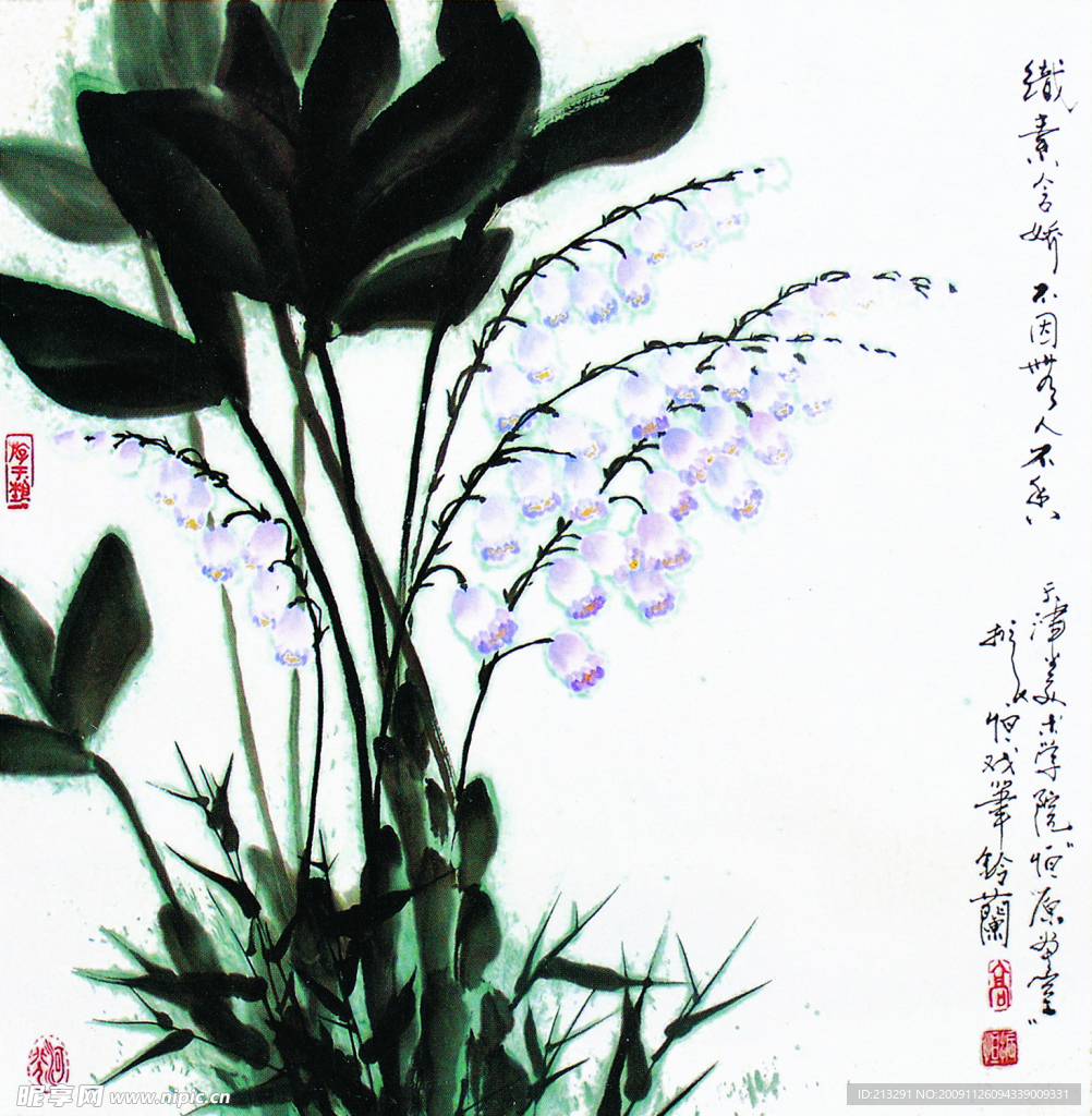 小兰花