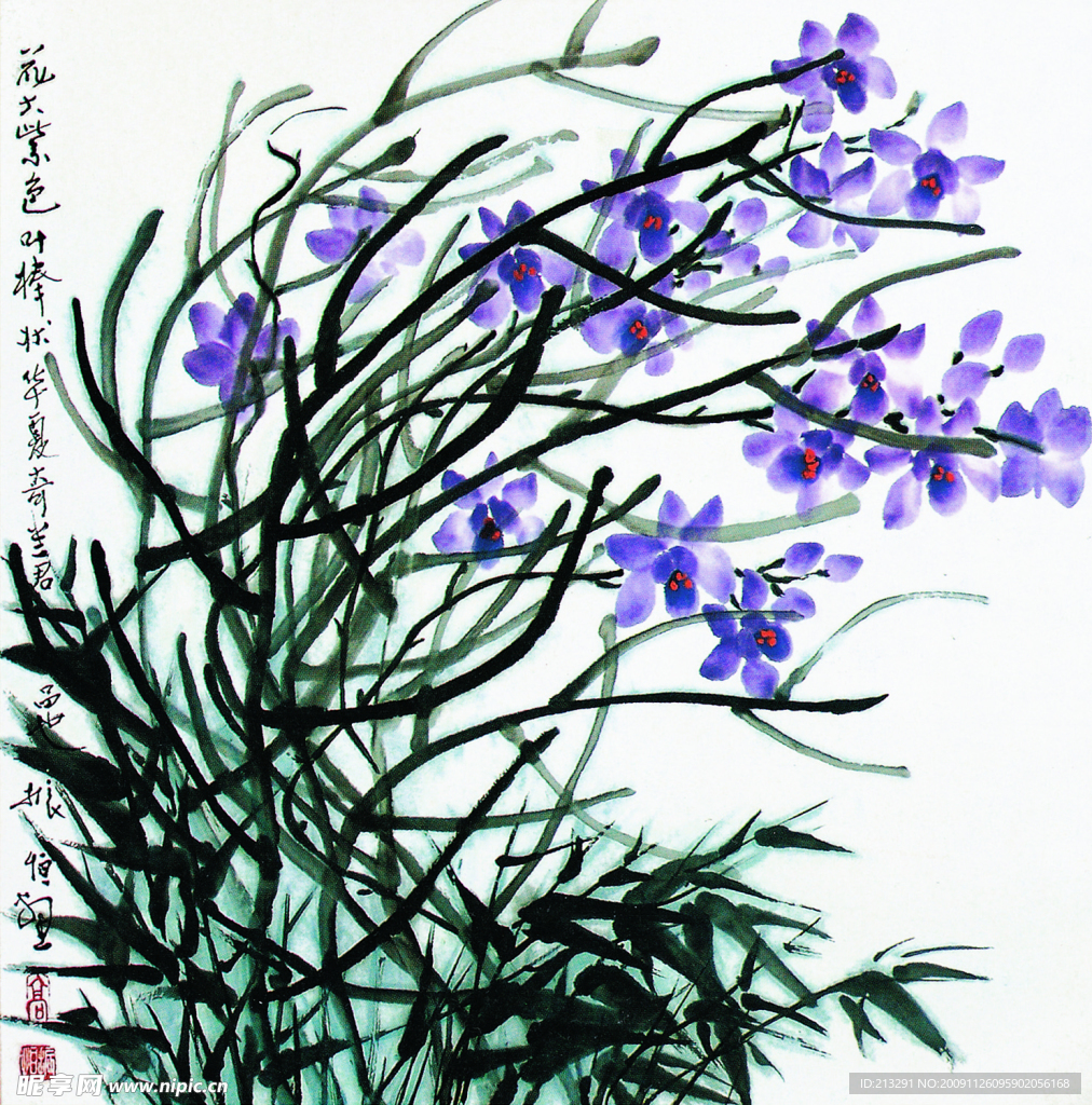 小兰花