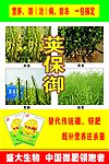 荚保御