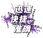 迅速 快捷 准确