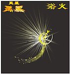 浴火的凤凰