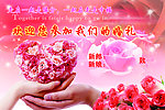 婚庆小背景