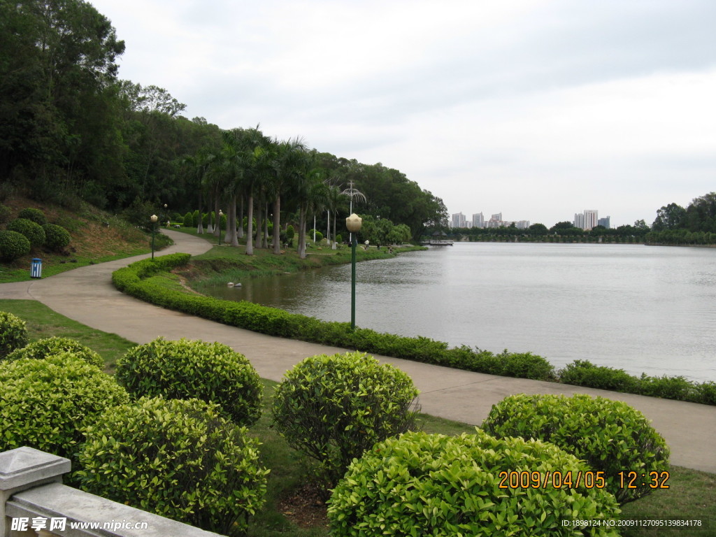 花 花坛 花草 自然 风光 风景