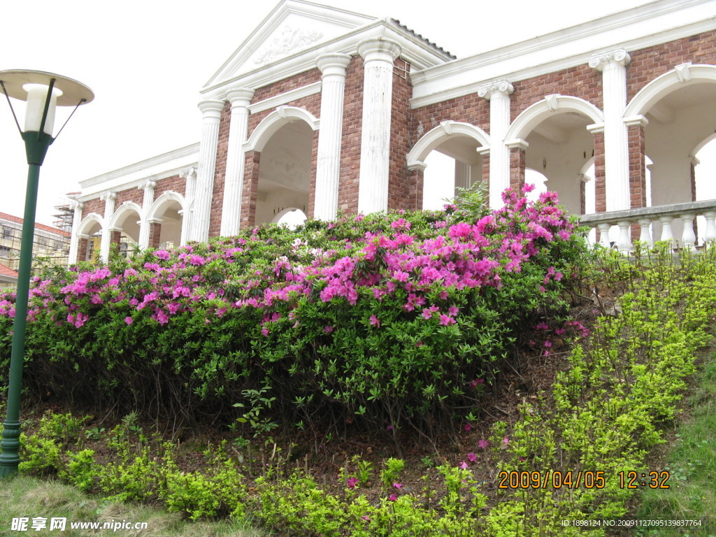 花 花坛 花草 自然 风光 风景