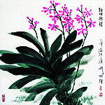 小兰花