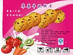 饼干传单