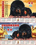 藏獒家园台历