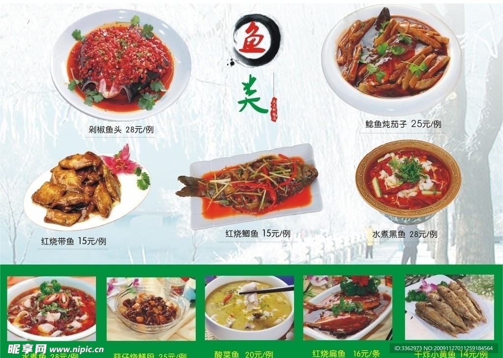 鱼类
