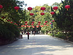 公园