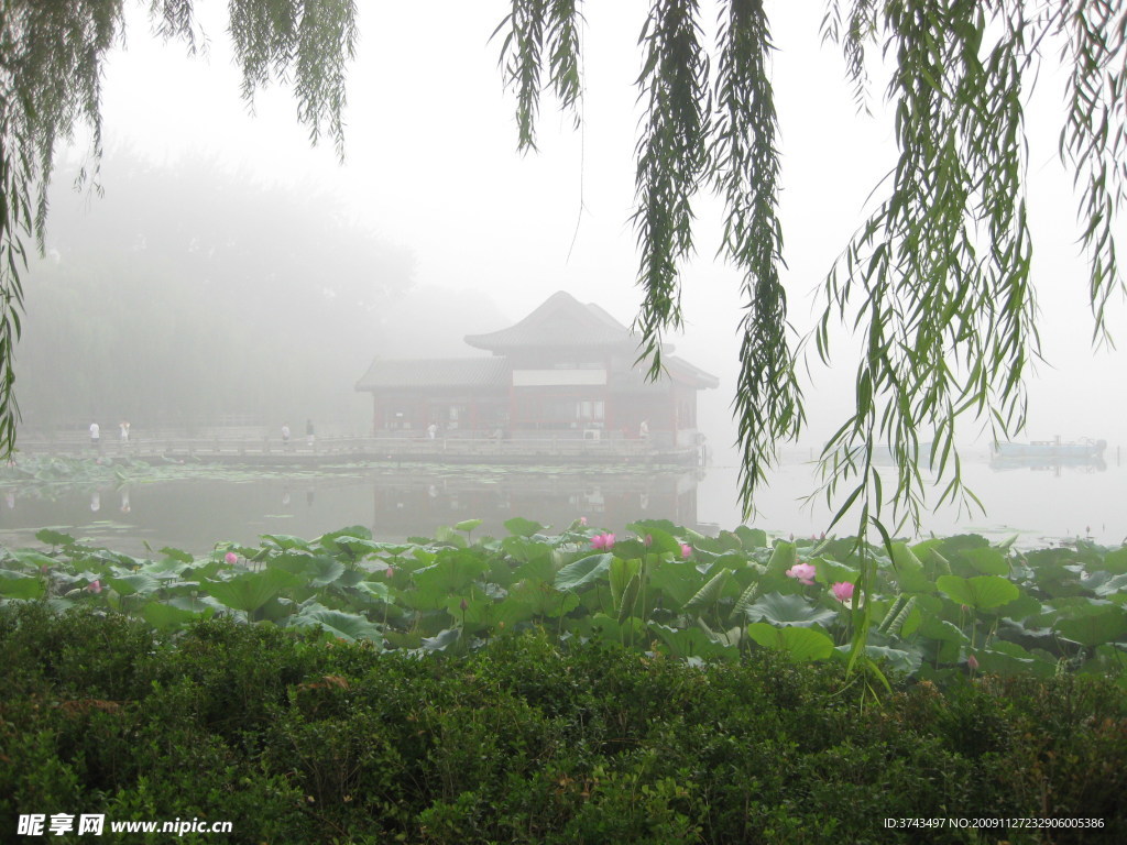 大明湖晨曦