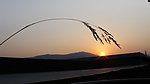夕阳