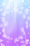 飘逸之花