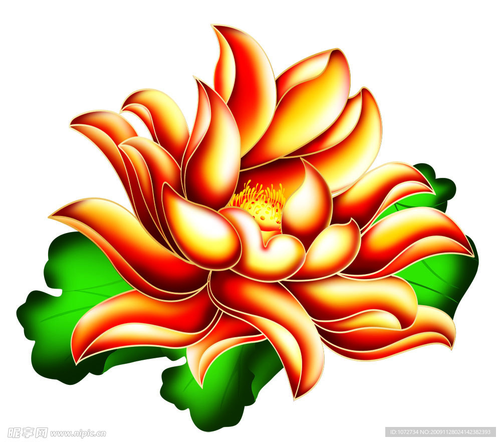 荷花