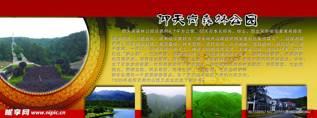 校园文化建设 森林公园