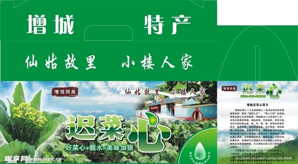 迟菜心礼品箱设计