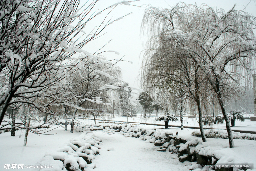 雪景