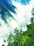 武夷山