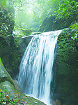 小溪流水