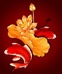 游鱼戏水