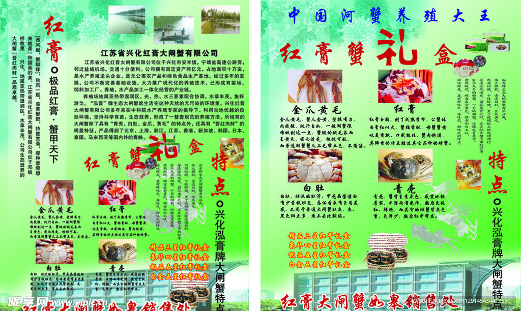红膏宣传单