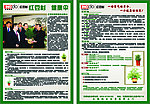 红豆杉宣传单