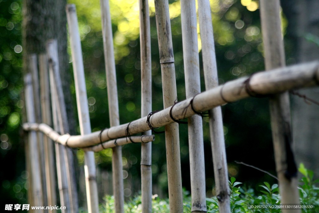 竹篱笆2