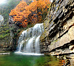 黎平国家森林公园风景