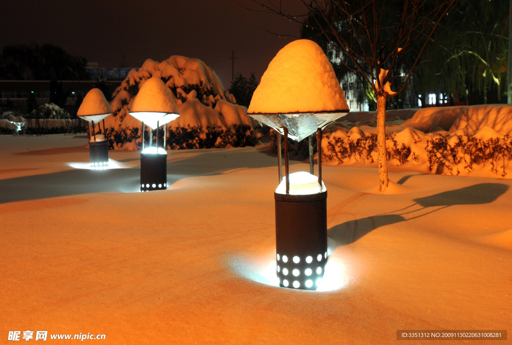 雪 公园 灯 夜晚 黄色 树