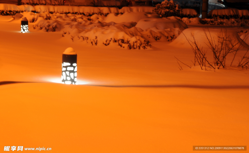 雪 公园 灯 夜晚 黄色 树
