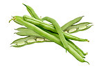 蔬菜