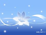 梦幻百合花