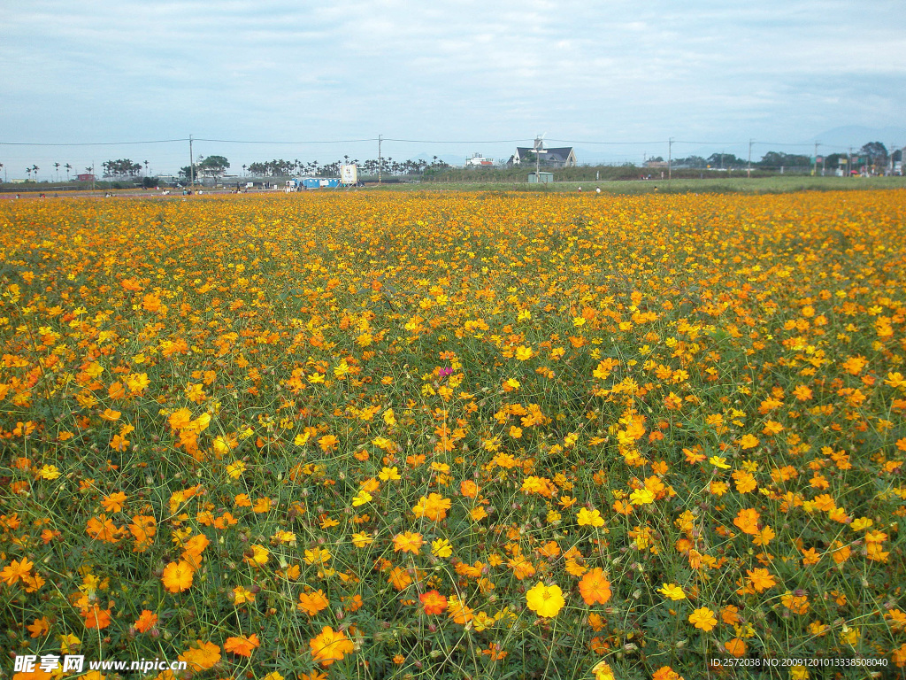 田园美景