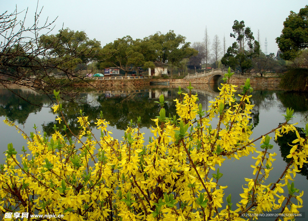 乡村风光